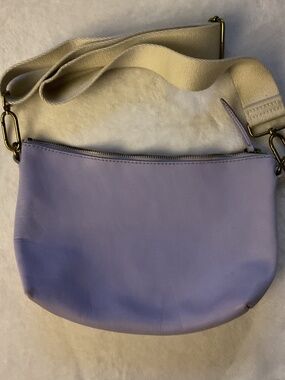Madewell Lavender Carabinder crossbody purse